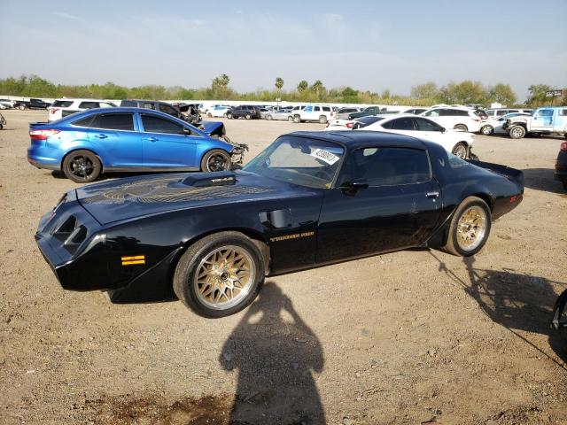 1981 Pontiac Firebird Trans Am