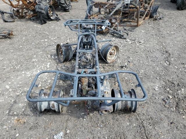 2020 HONDA TRX250 TM 1HFTE2139L4403917