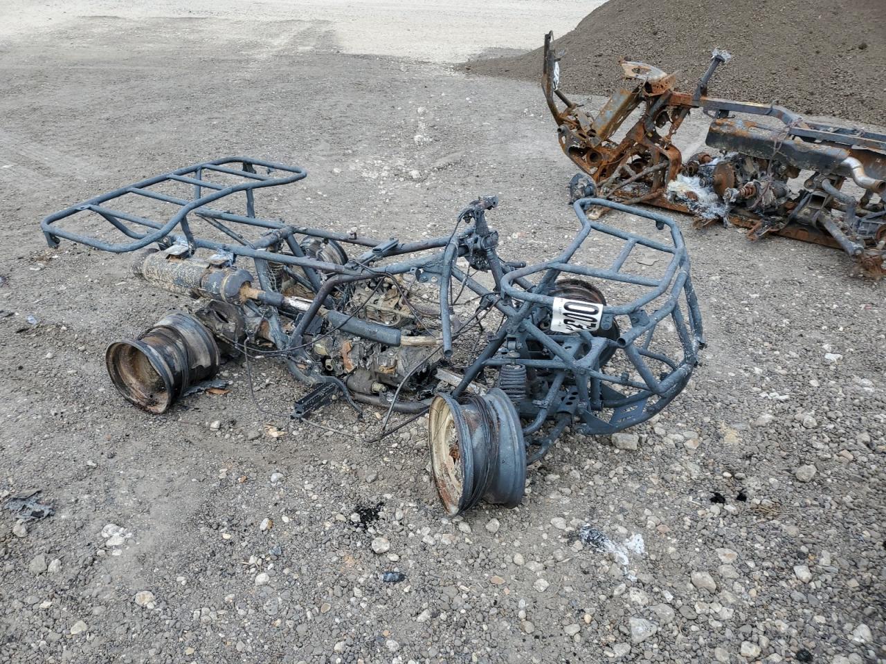 1HFTE2139L4403917 HONDA TRX250 TM 2020