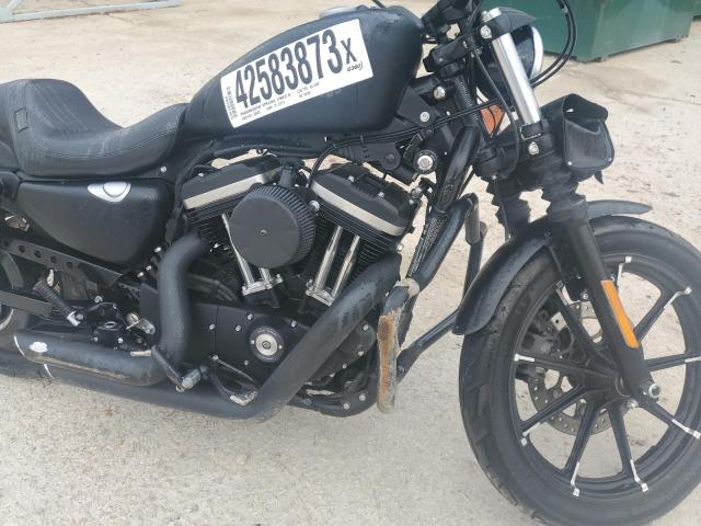 Harley Davidson xl883n