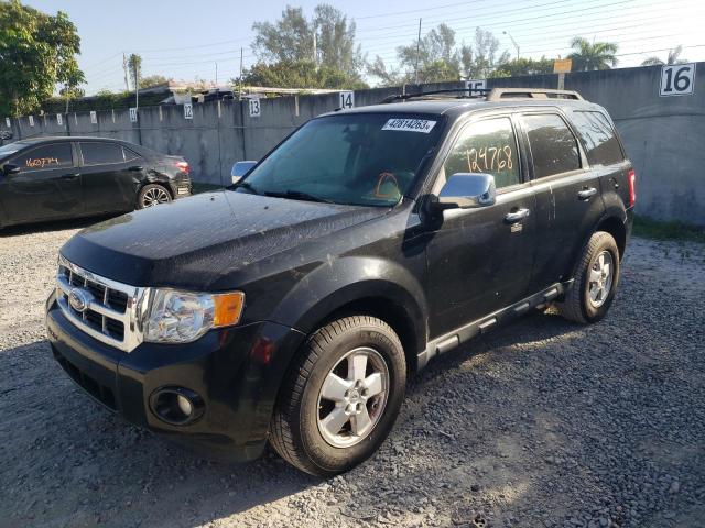 2011 Ford Escape XLT