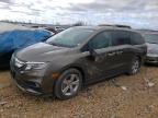2019 Honda Odyssey Exl на продаже в Bridgeton, MO - Normal Wear