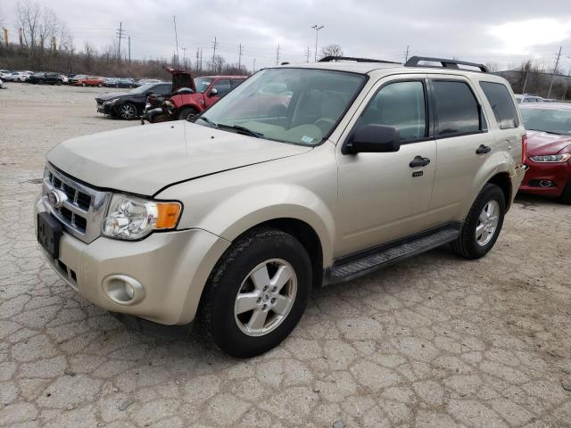 Vin: 1fmcu0d78ckb05673, lot: 49144814, ford escape xlt 2012 img_1