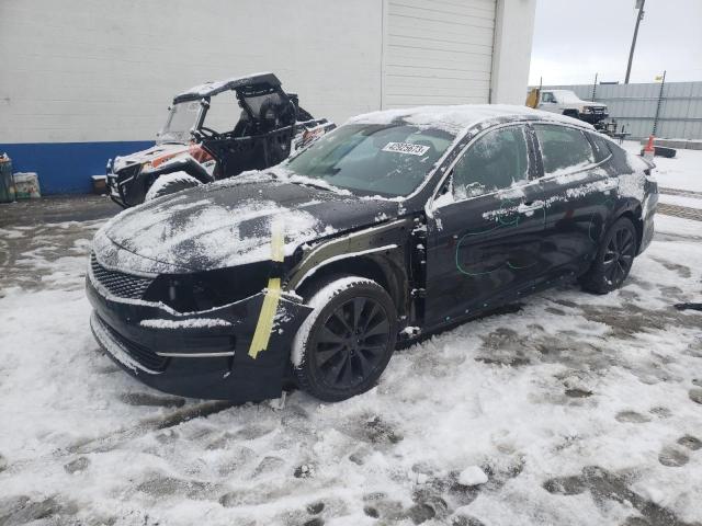 2016 KIA OPTIMA LX 5XXGT4L3XGG026973