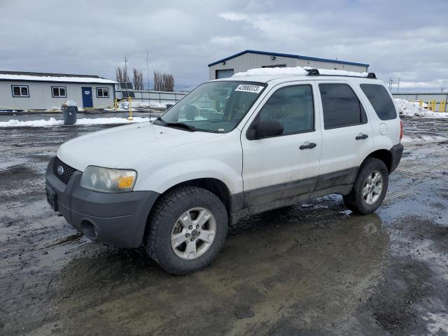 2006 Ford Escape XLT