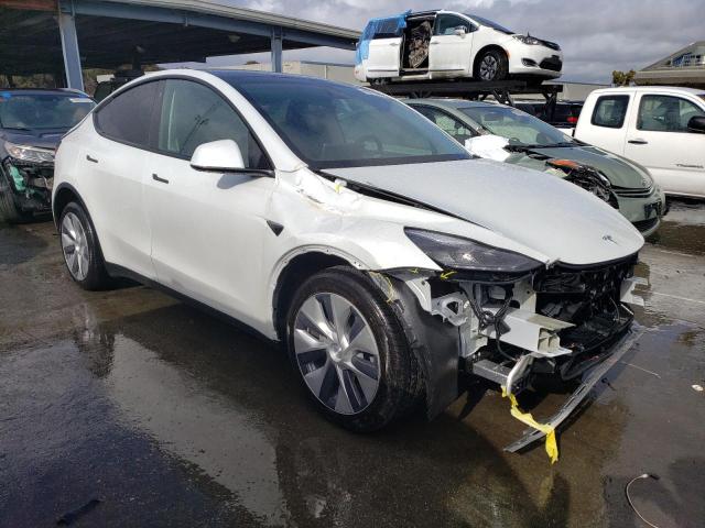 2022 TESLA MODEL Y 7SAYGDEE2NF533344