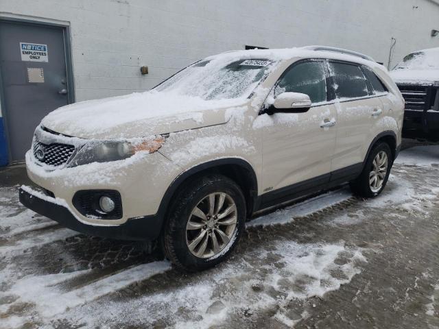 Salvage cars for sale from Copart Farr West, UT: 2011 KIA Sorento EX