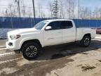 2021 TOYOTA TACOMA DOU - 5TFDZ5BN7MX067446