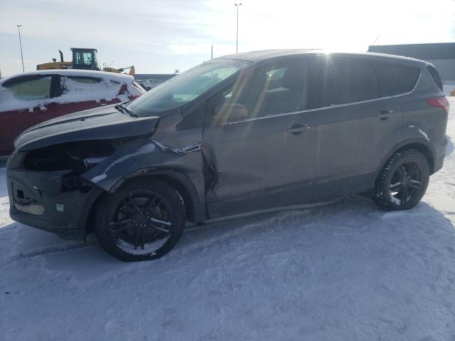 Salvage cars for sale from Copart Nisku, AB: 2014 Ford Escape SE