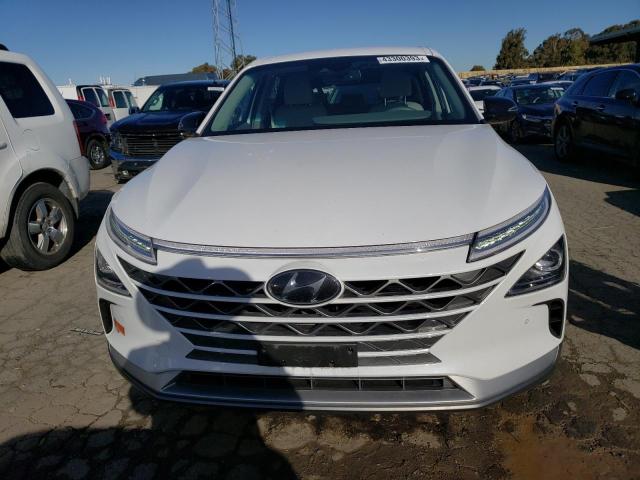 2020 HYUNDAI NEXO BLUE KM8J74A67LU005067