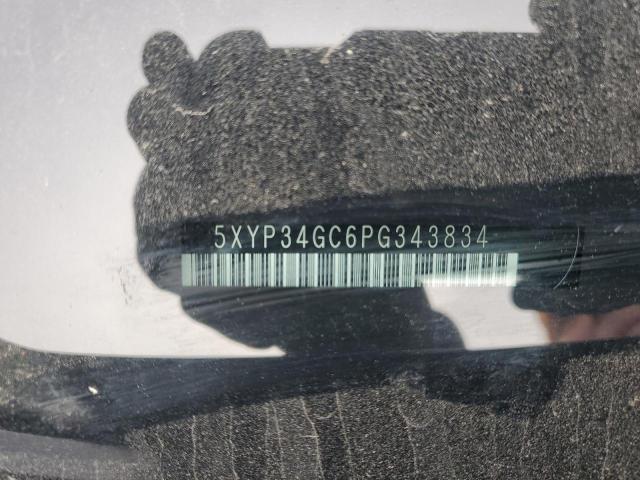 5XYP34GC6PG343834 KIA Telluride Ex