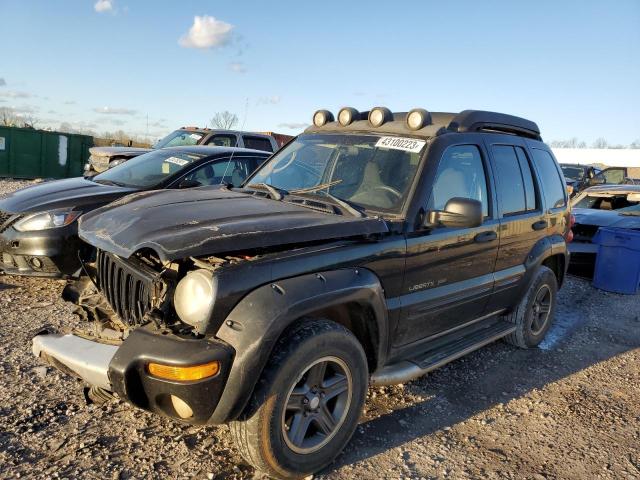 2003 Jeep Liberty Renegade