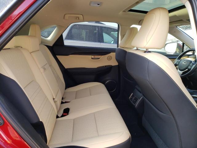2020 LEXUS NX 300 - JTJDARDZ2L5000517