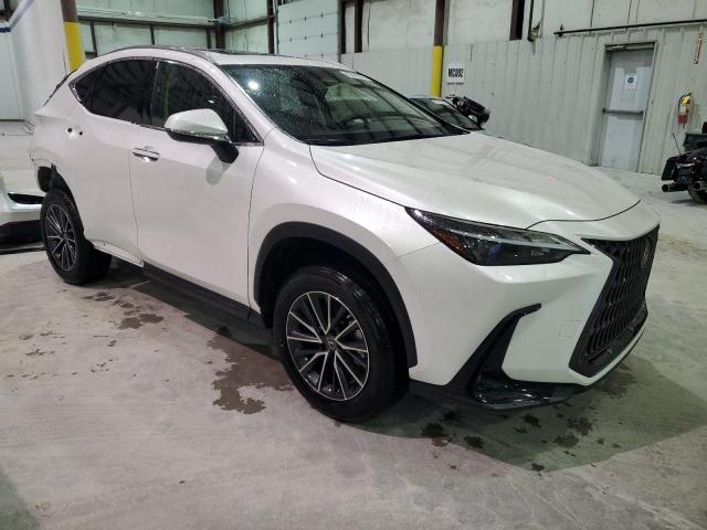 2022 LEXUS NX 250 JTJADCEZ6N5000142