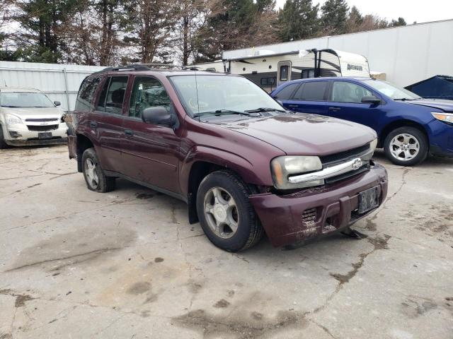 2007 Chevrolet Trailblazer Ls VIN: 1GNDT13S772116829 Lot: 49179464