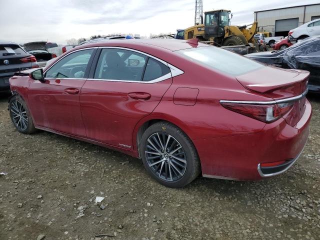 2022 LEXUS ES 300H BA 58ADA1C12NU019937
