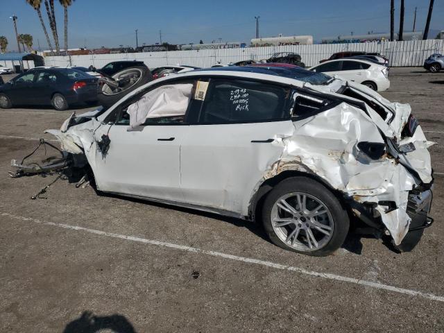 5YJYGDEEXMF161666 Tesla Model Y