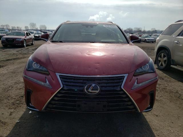 2020 LEXUS NX 300 - JTJDARDZ2L5000517