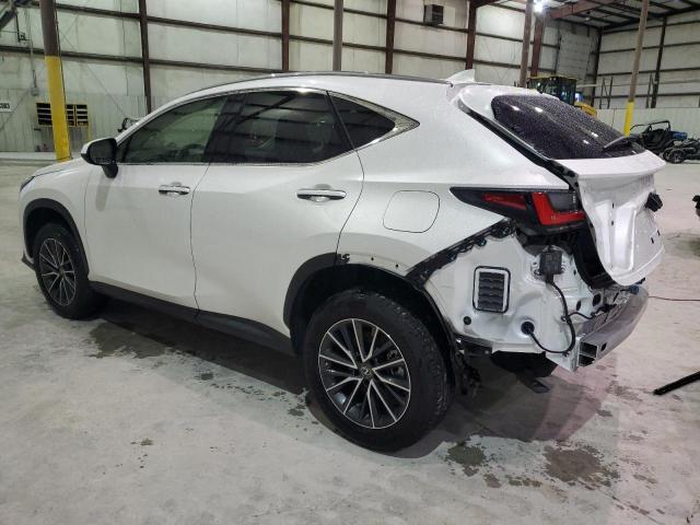 2022 LEXUS NX 250 JTJADCEZ6N5000142