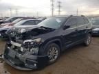 2019 JEEP CHEROKEE L - 1C4PJMLB4KD323141