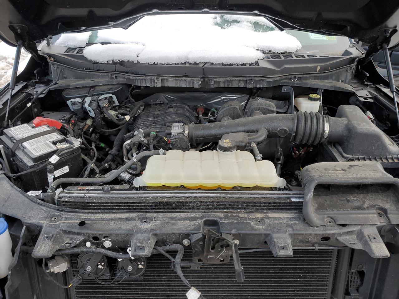 1FTEW1EB4MFC96969 FORD F-150 2021
