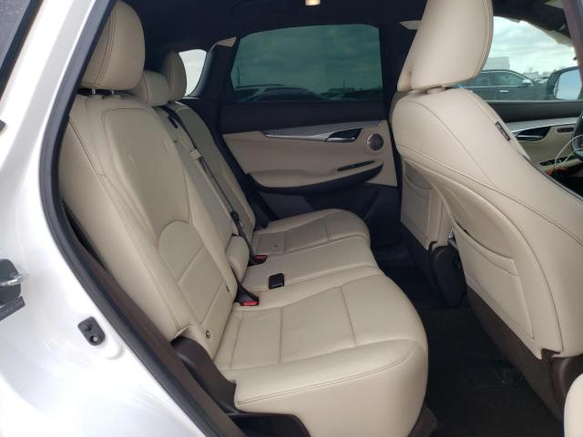 2019 INFINITI QX50 ESSEN - 3PCAJ5M13KF118758
