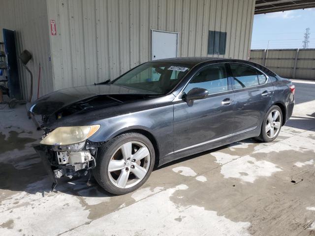 Salvage cars for sale from Copart Homestead, FL: 2008 Lexus LS 460