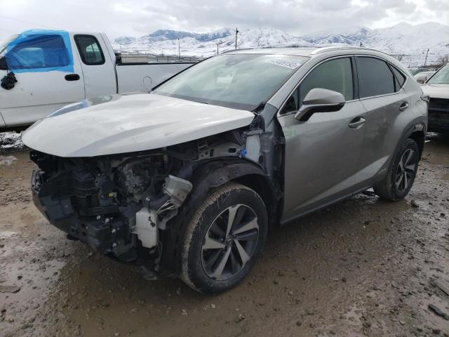 2020 LEXUS NX 300H - JTJGJRDZ6L2130928