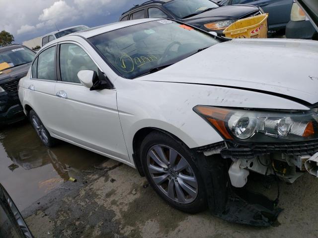 2011 HONDA ACCORD EXL - 5KBCP3F8XBB004358