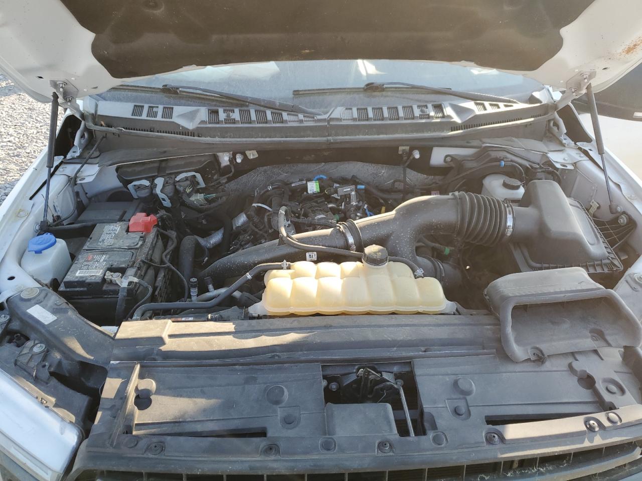 1FTEW1EP3KFB59479 FORD F-150 2019