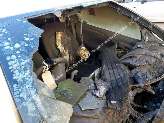 ZFA19900000847510 Fiat Punto Evo