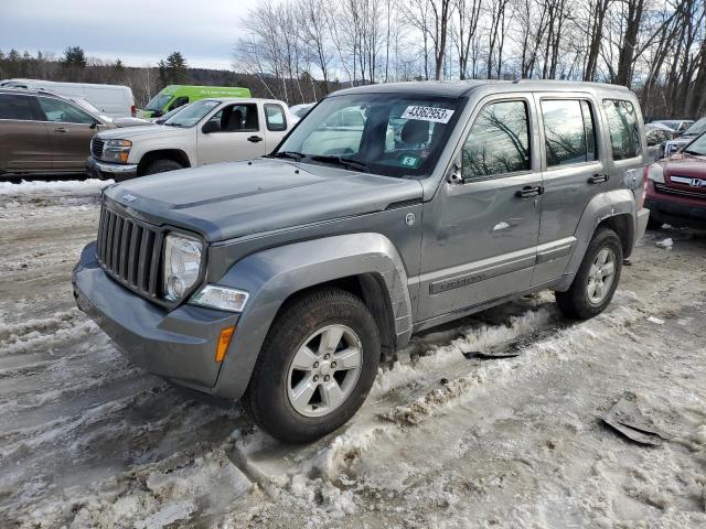 Jeep Liberty 2012 Arctic