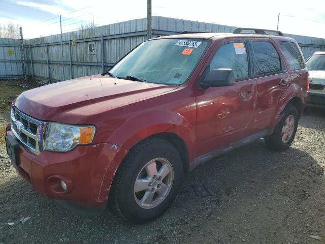 2010 Ford Escape XLT