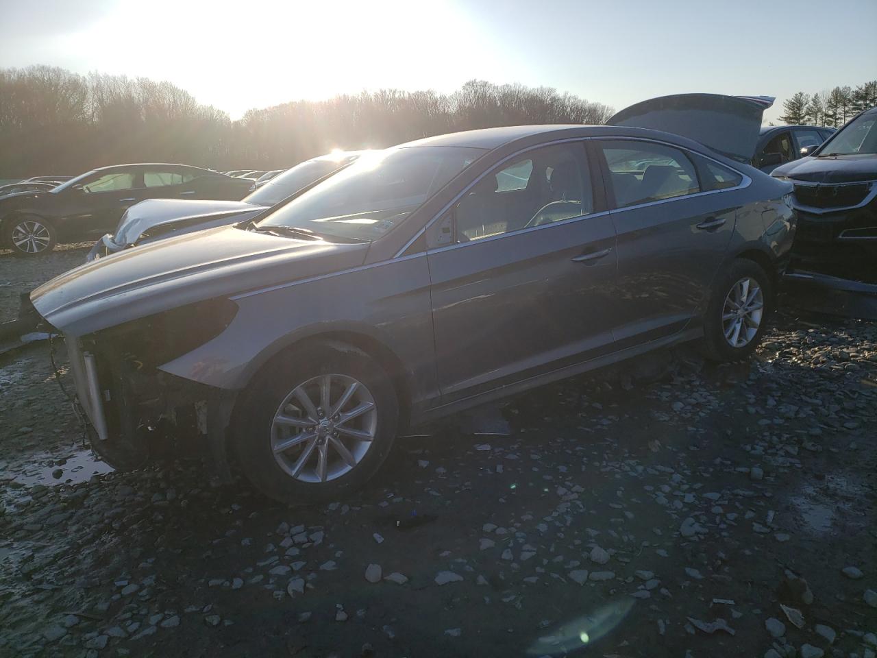 2019 Hyundai Sonata Se VIN: 5NPE24AFXKH793792 Lot: 49155414