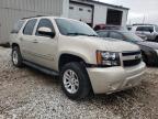 Lot #2313858323 2009 CHEVROLET TAHOE K150