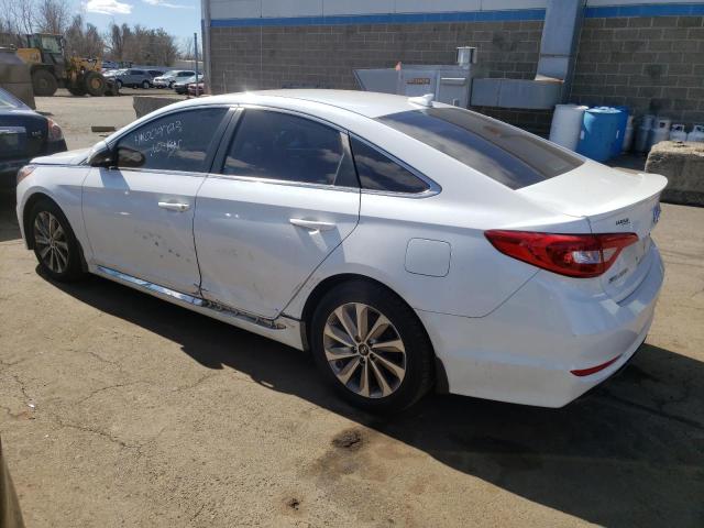 2017 HYUNDAI SONATA SPO - 5NPE34AF7HH552925