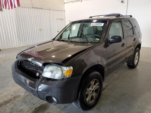 2007 Ford Escape XLT