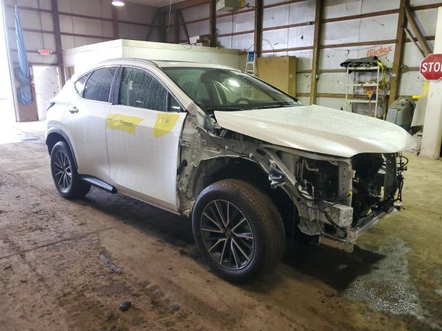 2022 LEXUS NX 250 JTJADCEZ4N5000169