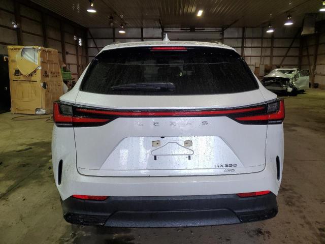 2022 LEXUS NX 250 JTJADCEZ4N5000169