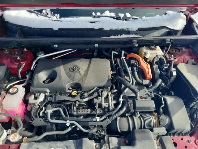 2020 TOYOTA RAV4 LE - 2T3BWRFV1LW098647