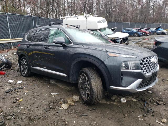 2023 HYUNDAI SANTA FE L - 5NMS4DAL7PH504570
