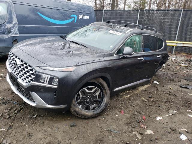 2023 HYUNDAI SANTA FE L - 5NMS4DAL7PH504570