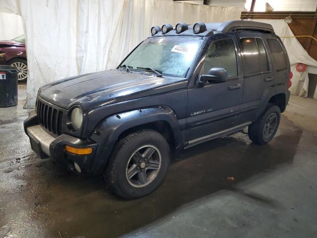 2003 Jeep Liberty Renegade