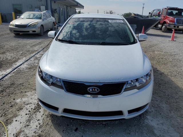 KNAFU4A24C5586163 KIA FORTE EX