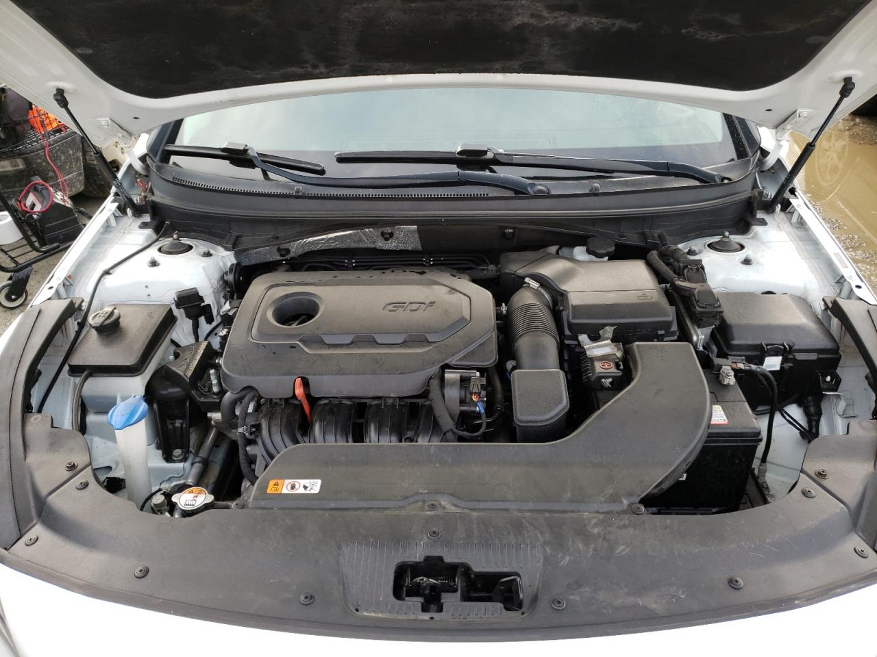 2016 Hyundai Sonata Se VIN: 5NPE24AF7GH345579 Lot: 49141104