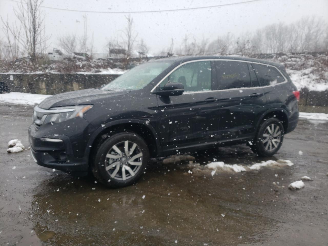 5FNYF6H5XNB008510 HONDA PILOT EXL 2022