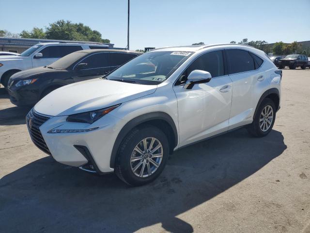 2021 LEXUS NX 300H BA - JTJDJRDZ8M5012401