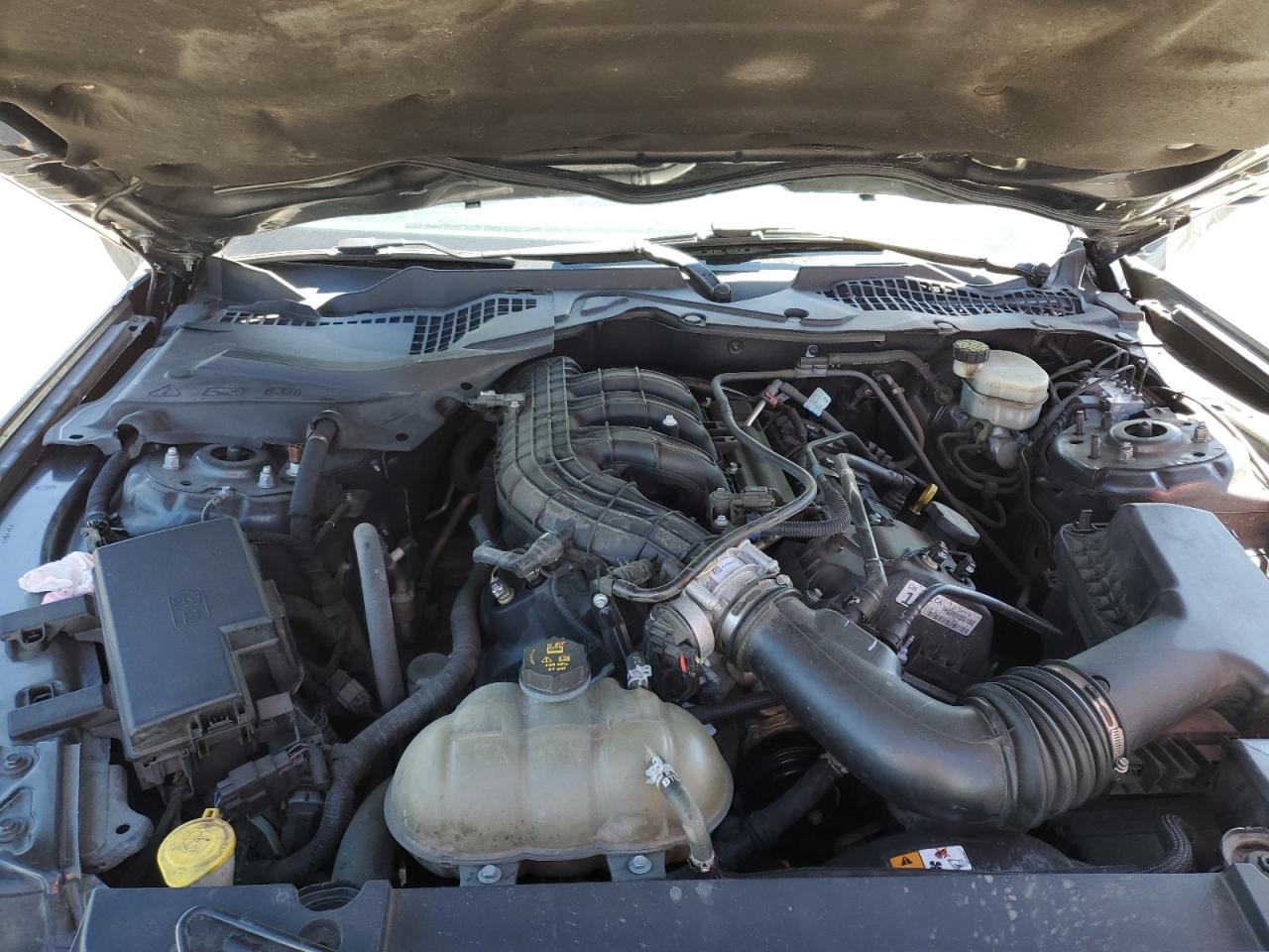 1FA6P8AM7H5290733 FORD ALL Models 2017
