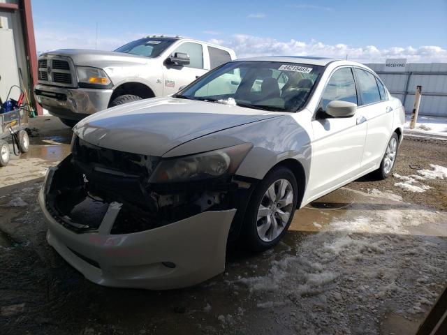 2009 Honda Accord Coupe EX-L