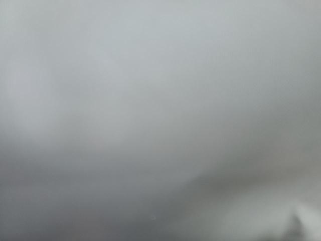 5YJYGDEE4MF259141 Tesla Model Y